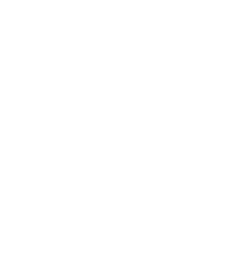 Lambourghini Logo